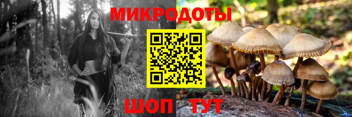 купить наркотик  Галлюциногенные грибы Psilocybe  Вход с VPN  Губаха 